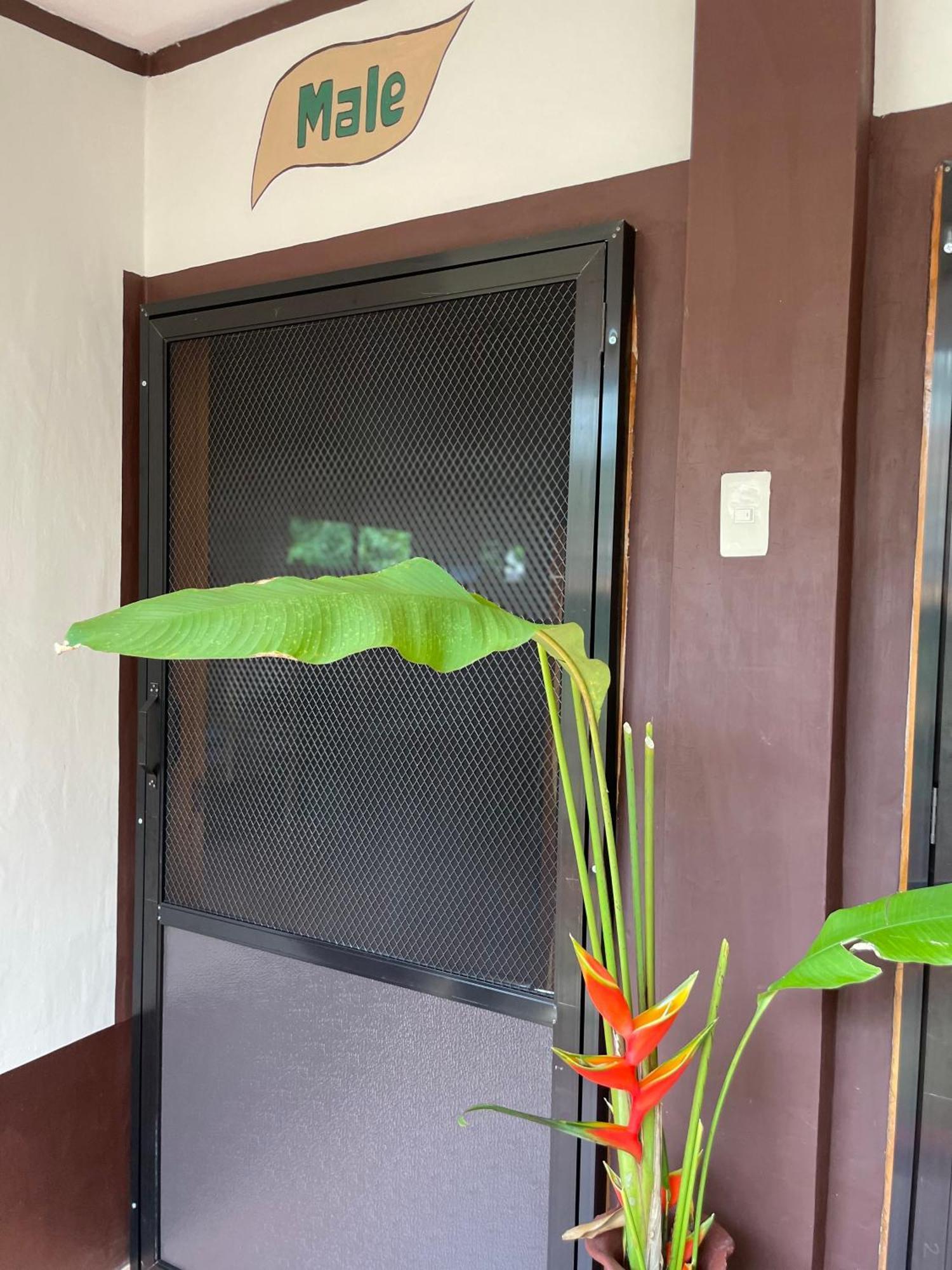 Chelle'S Guesthouse And Backpackers Siquijor Εξωτερικό φωτογραφία