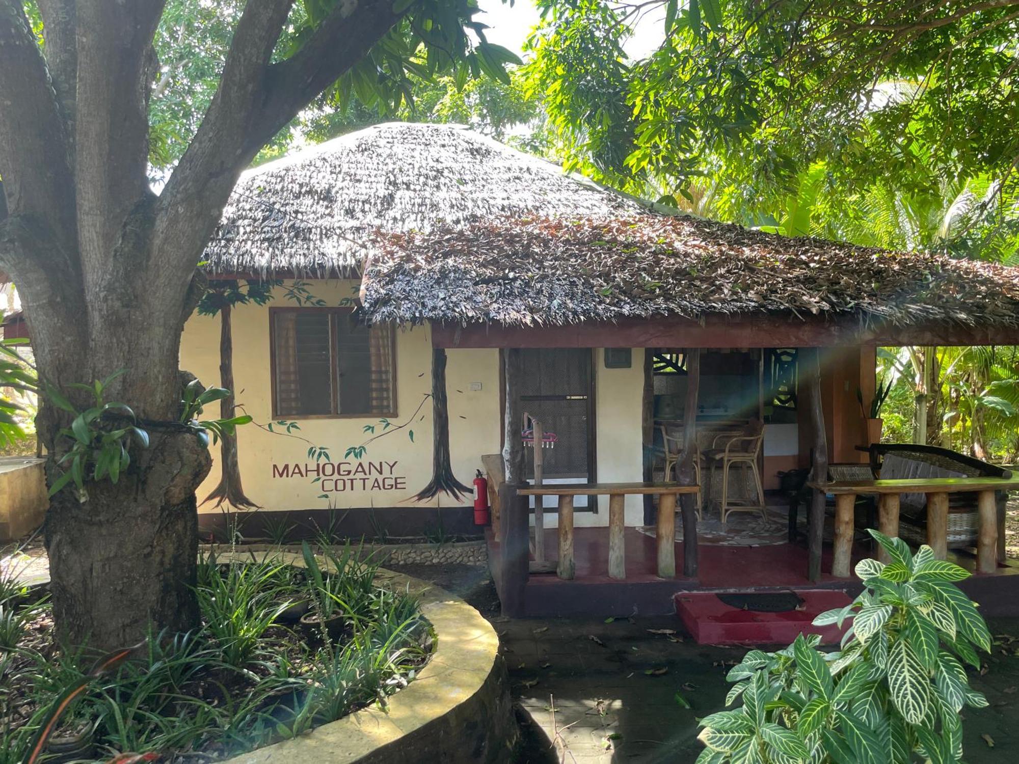 Chelle'S Guesthouse And Backpackers Siquijor Εξωτερικό φωτογραφία